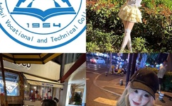 茄子视频在线直播